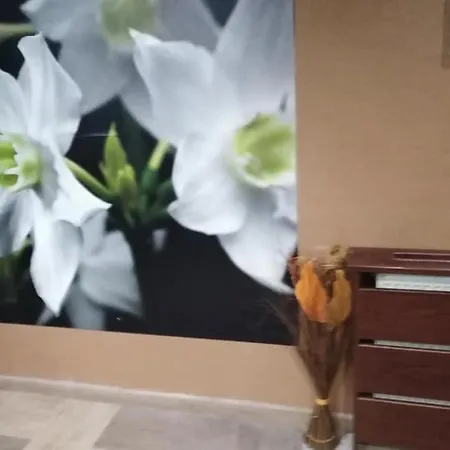 Apartment спа,ски дайли, стрийм ризорт