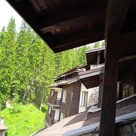 Apartamento спа,ски дайли, стрийм ризорт Pamporovo