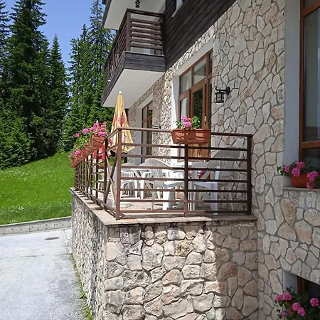 спа,ски дайли, стрийм ризорт Appartement