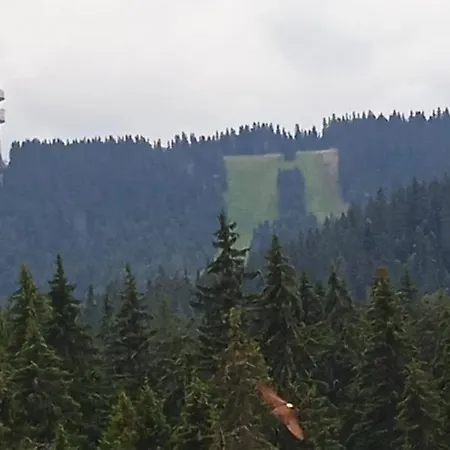 Apartament спа,ски дайли, стрийм ризорт *