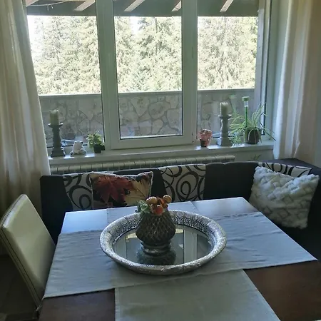 спа,ски дайли, стрийм ризорт Pamporovo