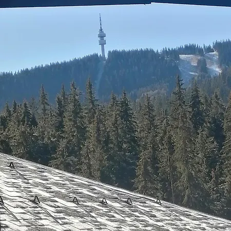 спа,ски дайли, стрийм ризорт * Пампорово