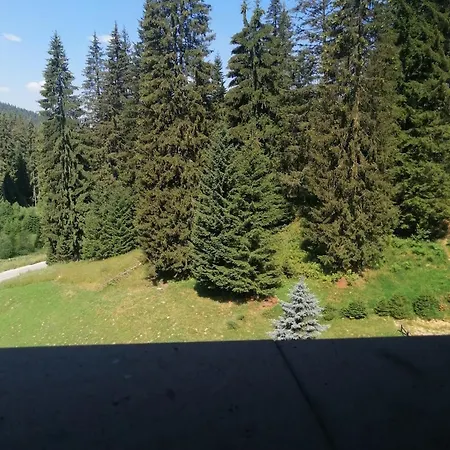 спа,ски дайли, стрийм ризорт Apartment *