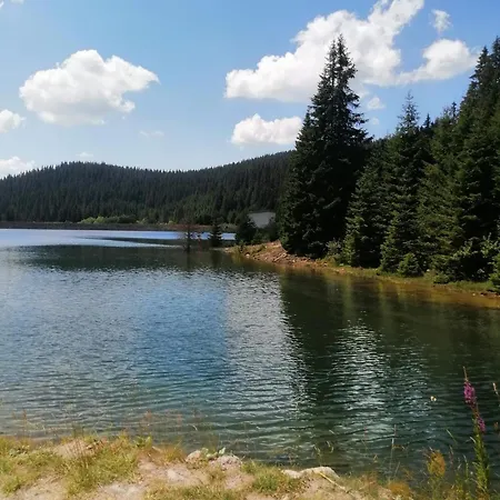 Apartment спа,ски дайли, стрийм ризорт *