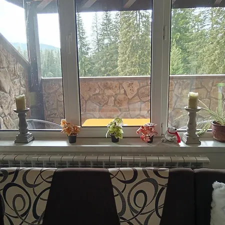 спа,ски дайли, стрийм ризорт *