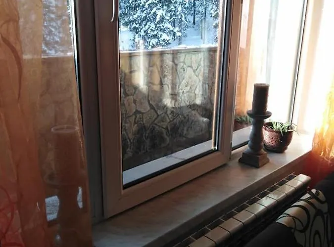 Daire спа,ски дайли, стрийм ризорт Pamporovo