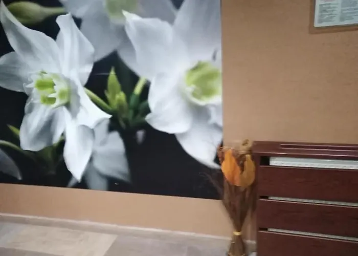 Appartement спа,ски дайли, стрийм ризорт