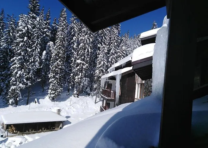 спа,ски дайли, стрийм ризорт