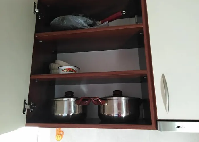 спа,ски дайли, стрийм ризорт Daire Pamporovo