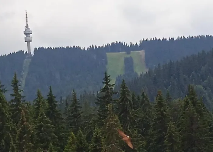 Appartement спа,ски дайли, стрийм ризорт *