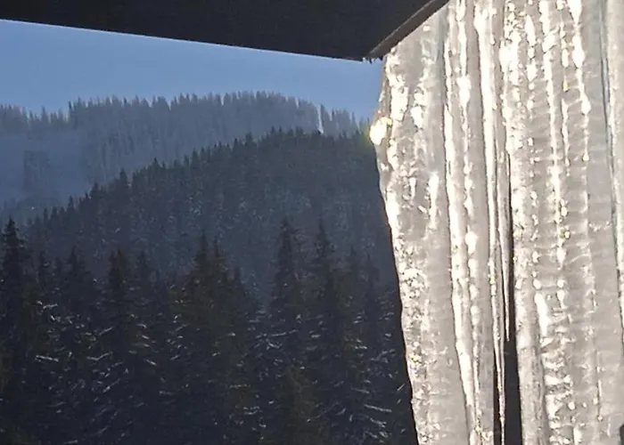 Daire спа,ски дайли, стрийм ризорт Pamporovo