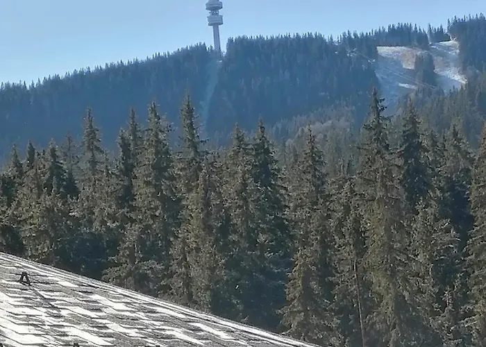 спа,ски дайли, стрийм ризорт * Pamporovo