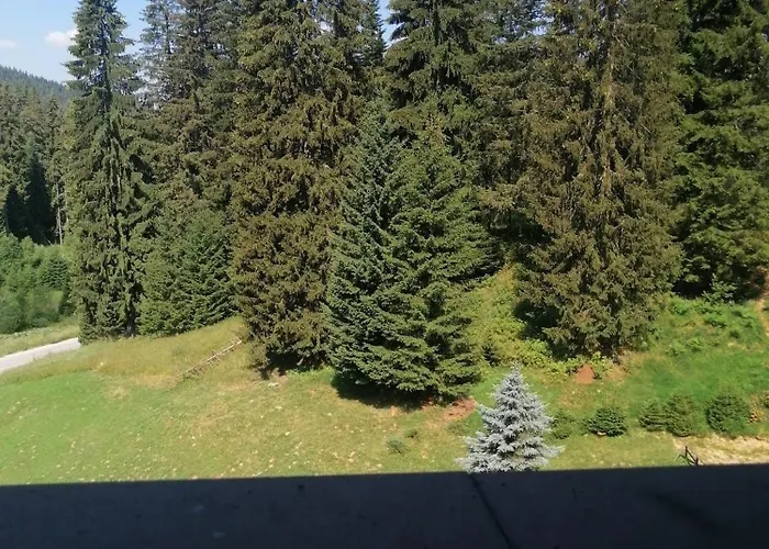 спа,ски дайли, стрийм ризорт Appartement *