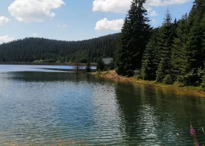 Appartement спа,ски дайли, стрийм ризорт *