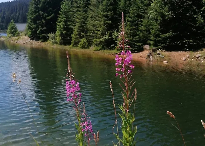 спа,ски дайли, стрийм ризорт Appartement Pamporovo