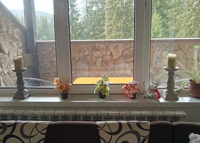 спа,ски дайли, стрийм ризорт *